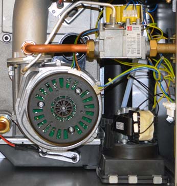 bx bermuda he inner lower.jpg